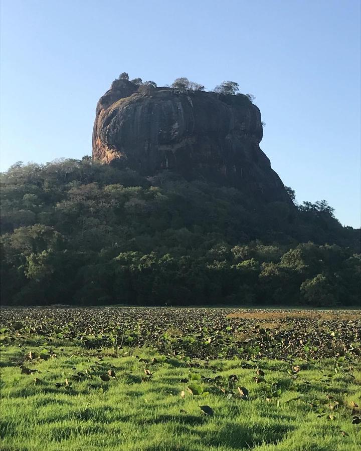 Sigiriya Village Home Stay Esterno foto