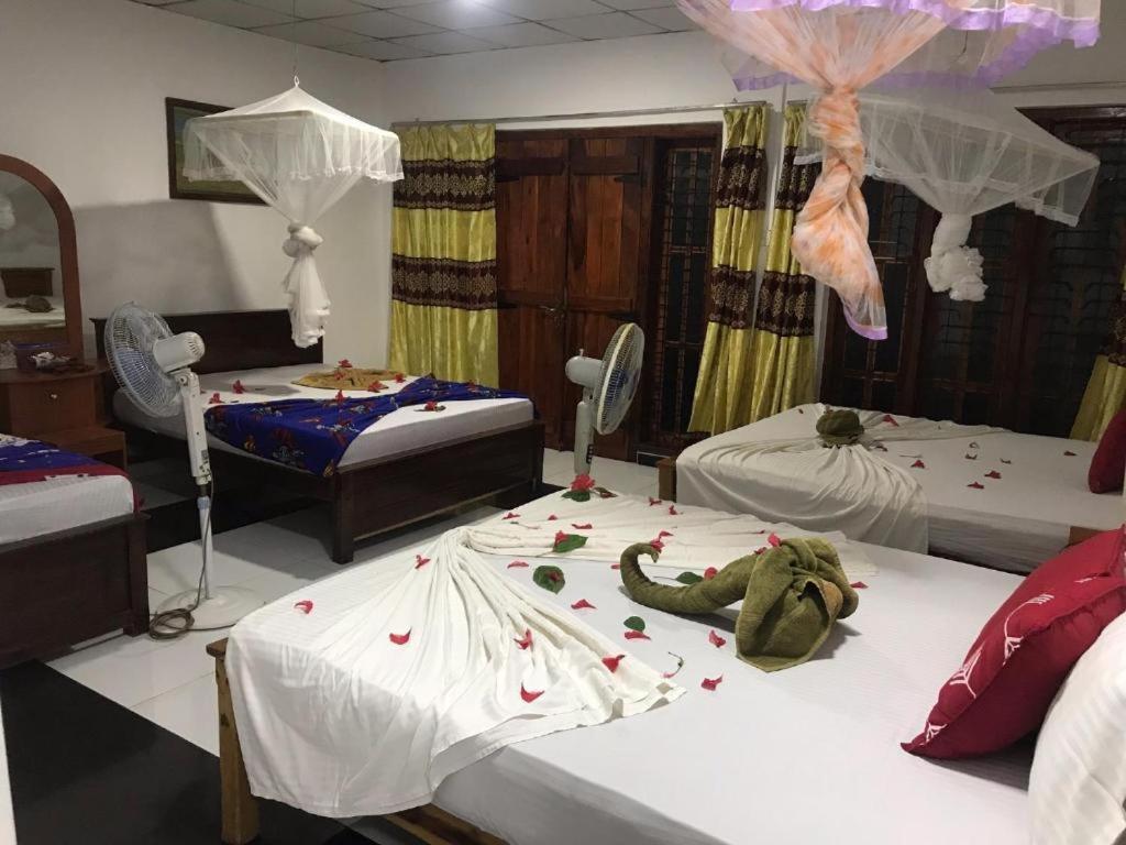 Sigiriya Village Home Stay Esterno foto